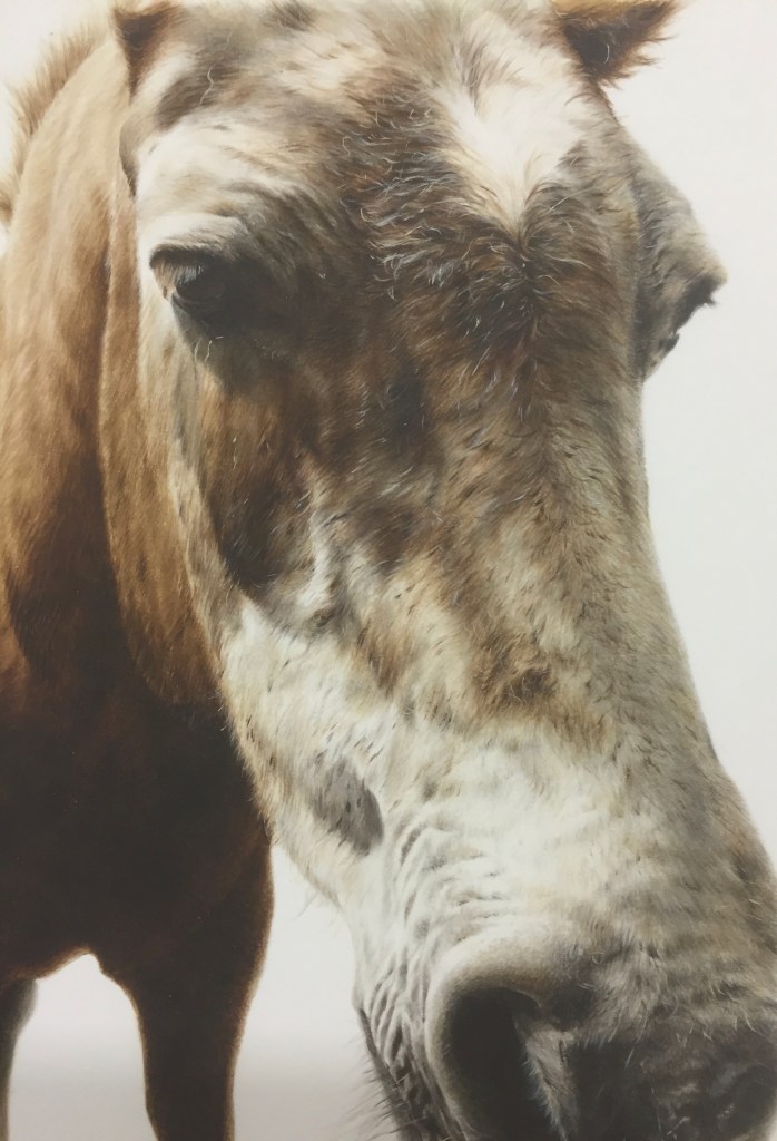 George / Watercolour, acrylic on board George / Watercolour, acrylic on board / 17cm x 12cm