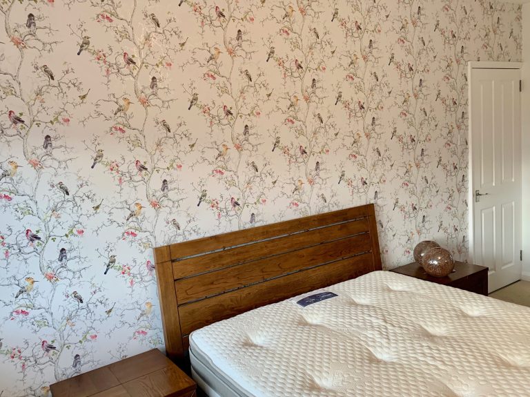 Ornithology wallpaper feature wall image