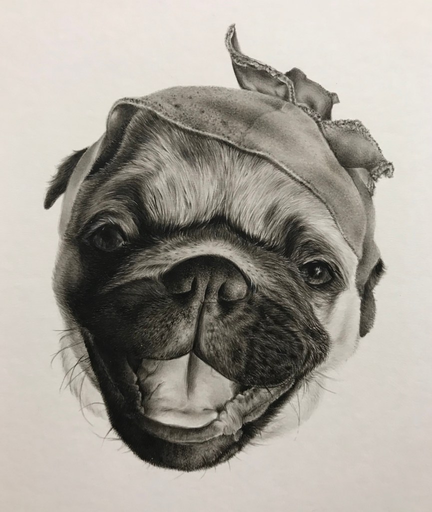 Pumpkin Pug / Watercolour, pen and ink on board Pumpkin Pug / Watercolour, pen and ink on board / 16cm x 16cm